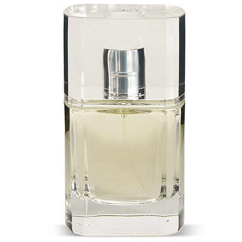 Danielle Steel by Danielle Steel - Luxury Perfumes Inc. -