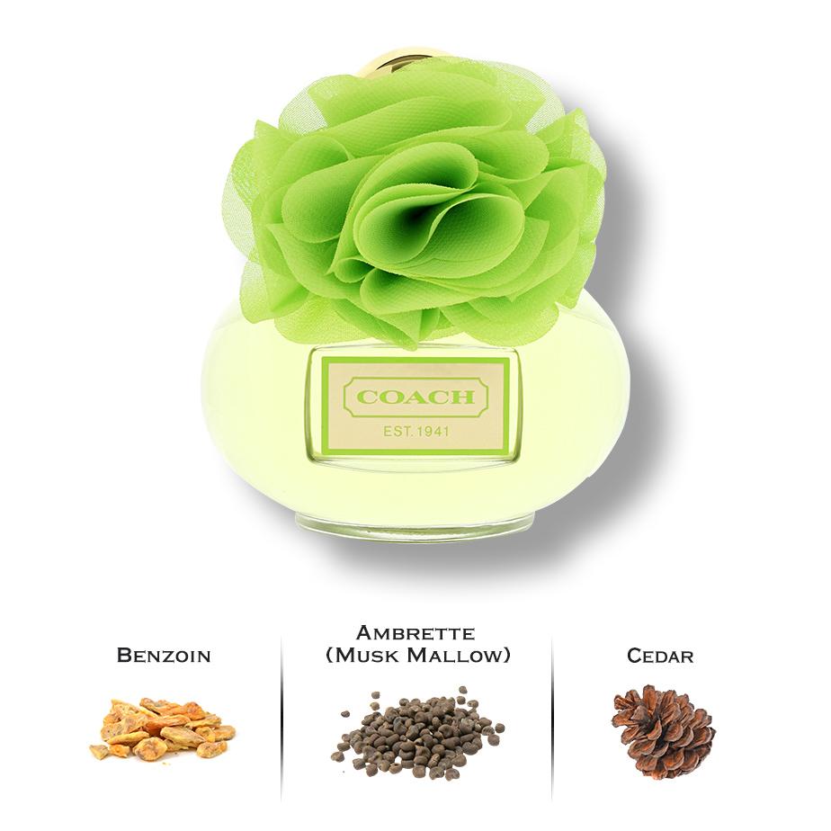 Coach poppy citrine blossom perfume Clearance