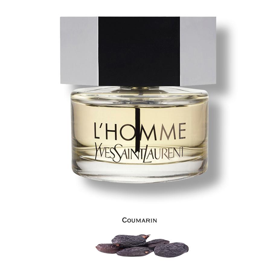 L'Homme by Yves Saint Laurent