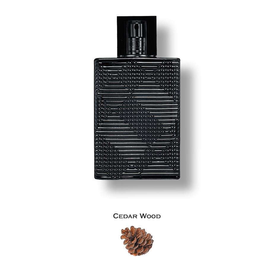 Brit Rhythm by Burberry
