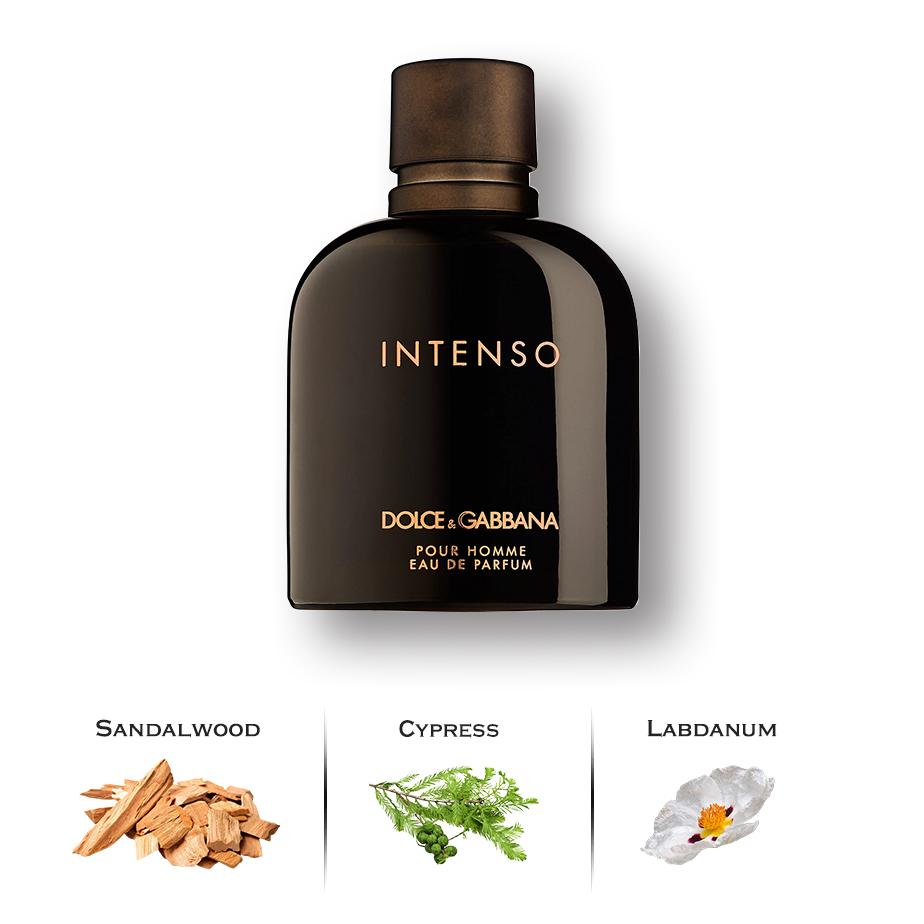 Dolce Gabbana Intenso by Dolce & Gabbana