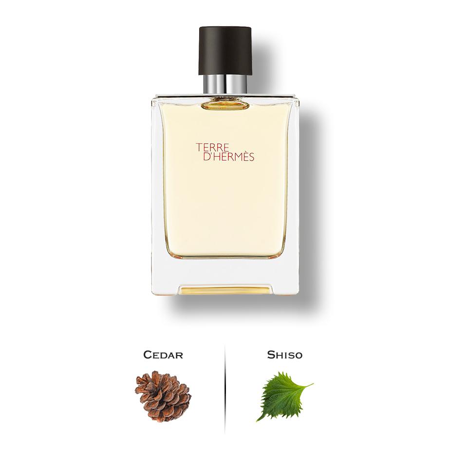 Terre d'Hermes  by Hermes