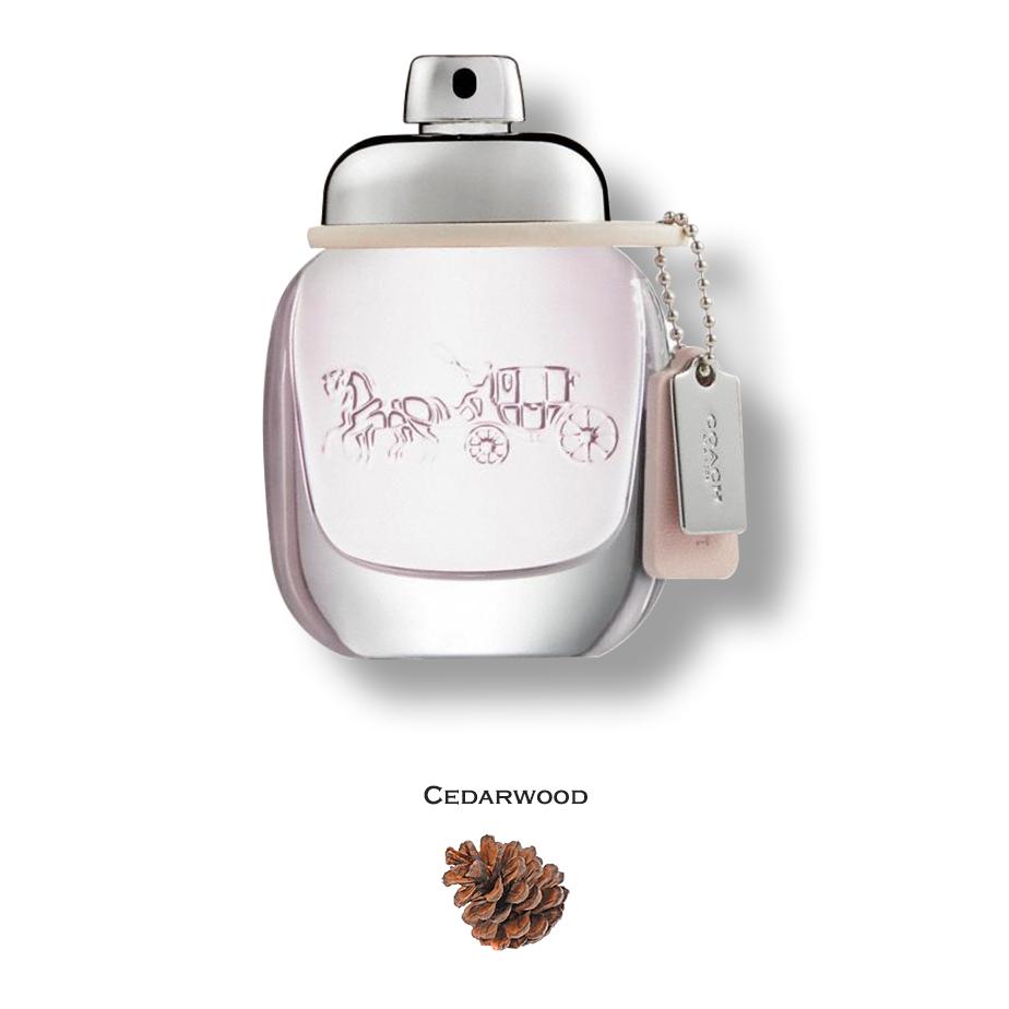 Coach the Fragrance Eau de Toilette by Coach