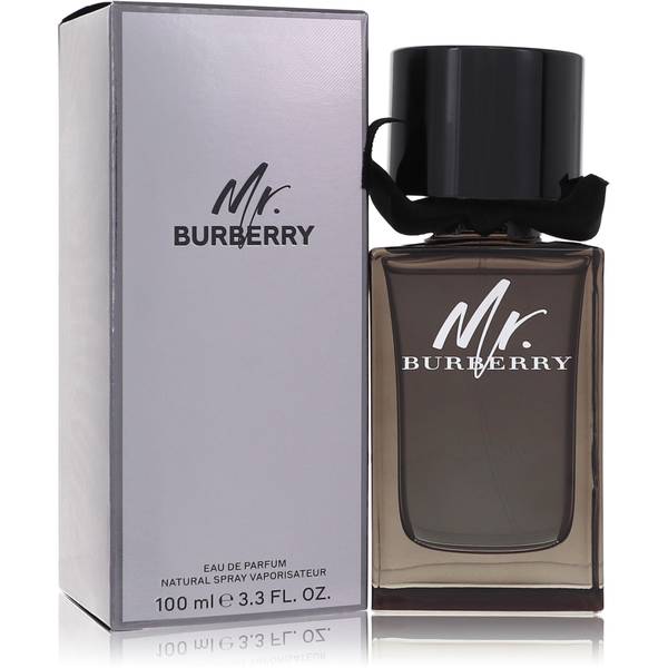 Mr Burberry Indigo Cologne By Burberry
