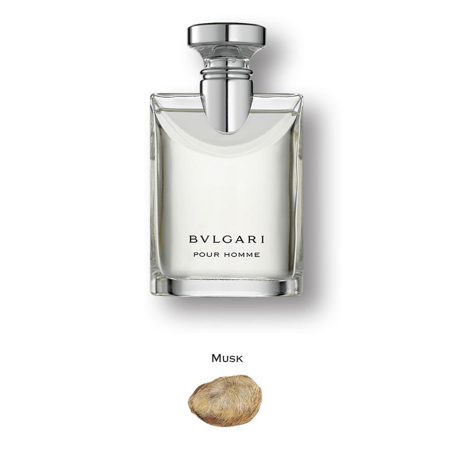 未使用BVLGARI pour Femme Eau de Parfum 50ml Bvlgari Pour Femme 1.7 oz / 50 ml EDP Spray for Women