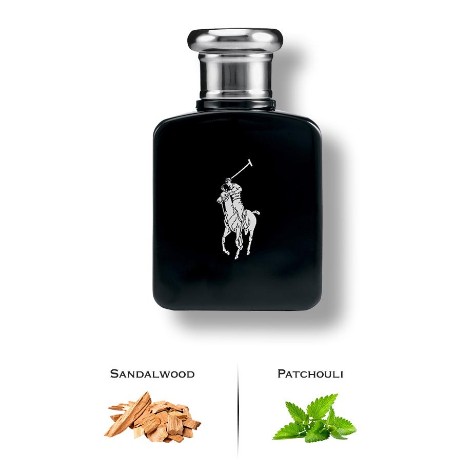 Polo Black Cologne by Ralph Lauren – Luxury Perfumes