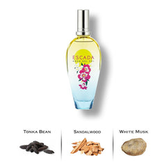 14777_medium.jpg?v=1757445434