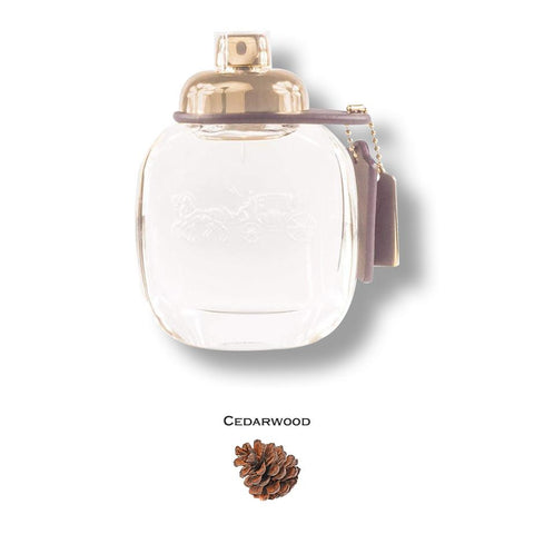 Coach the Fragrance (New York) by Coach