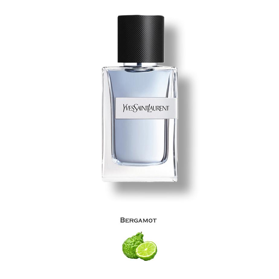 Y Eau de Toilette by Yves Saint Laurent: A Luxury Perfume – Luxury Perfumes