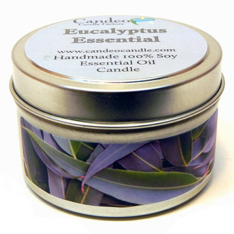 Eucalyptus Scented Candle by A Candle Co. - Luxury Perfumes Inc. - 
