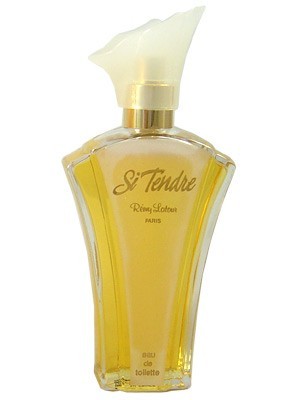 Si Tendre by Remy Latour - Luxury Perfumes Inc. - 